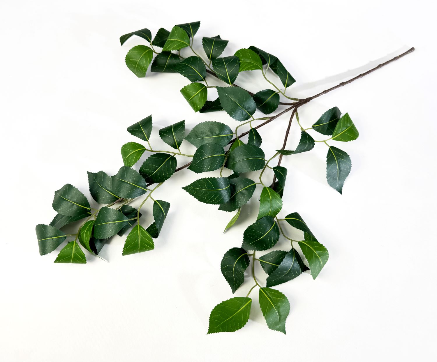 Зелень, Крупный резной лист (ответвление)