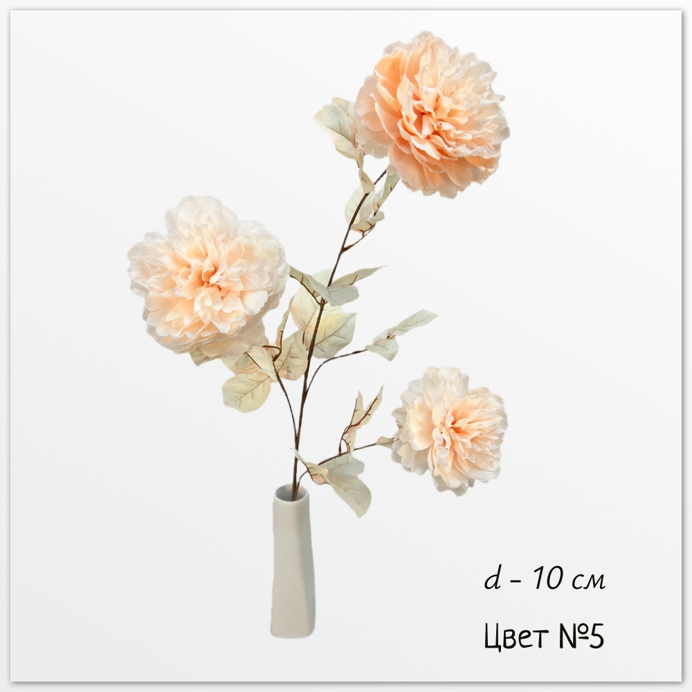 Пион Пуэрти, цвет №5