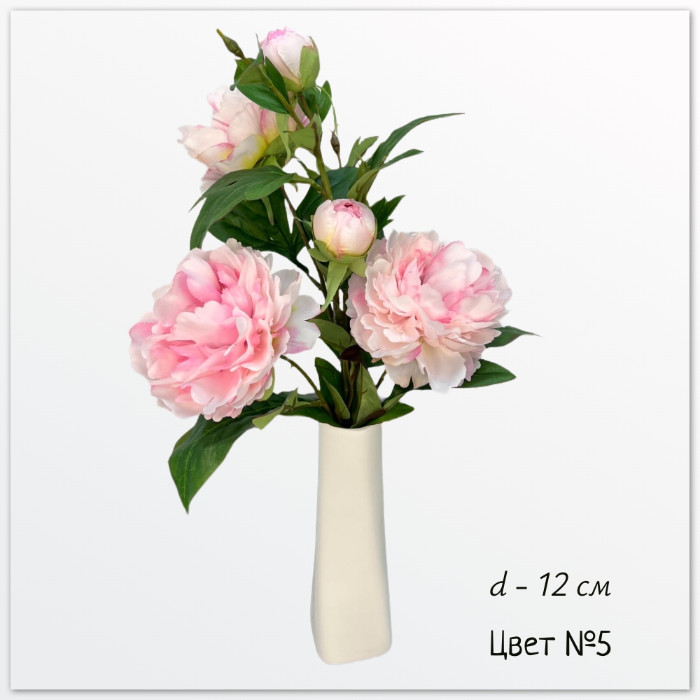 Пион Эланд, цвет №5