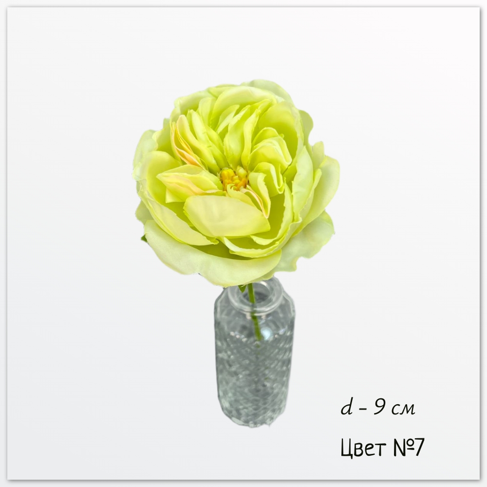 Роза пионовидная Анастейша, цвет №7