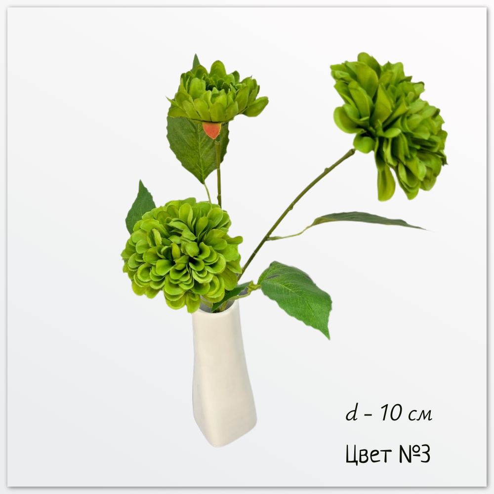 Георгин Дахлия Пинната, цвет № 3