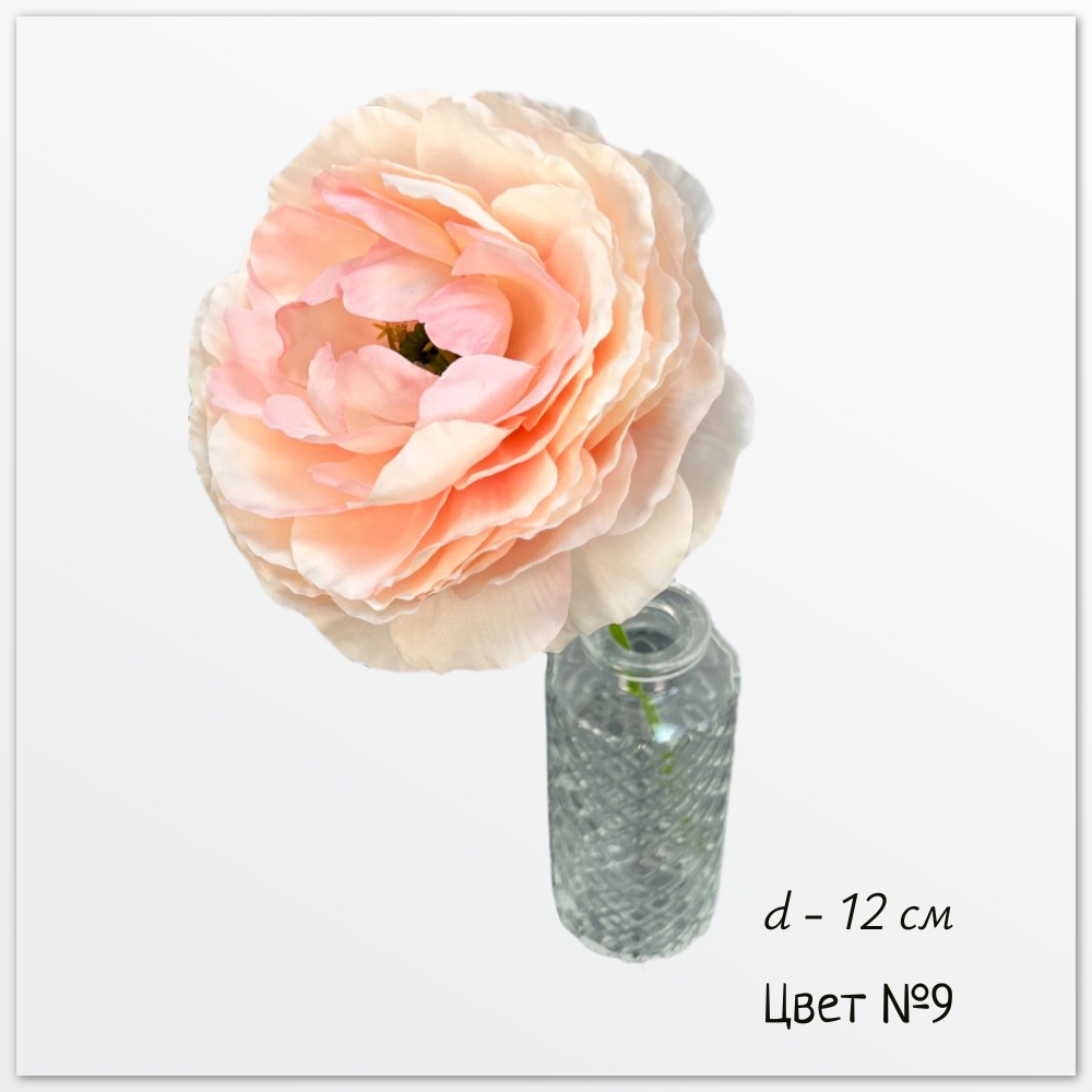 Камелия японская Нира, цвет №9