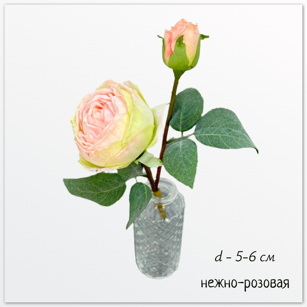 Роза пионовидная Октава