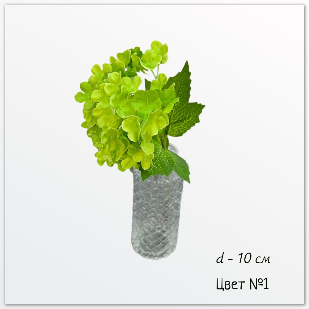 Гортензия Надежда, Цвет №1