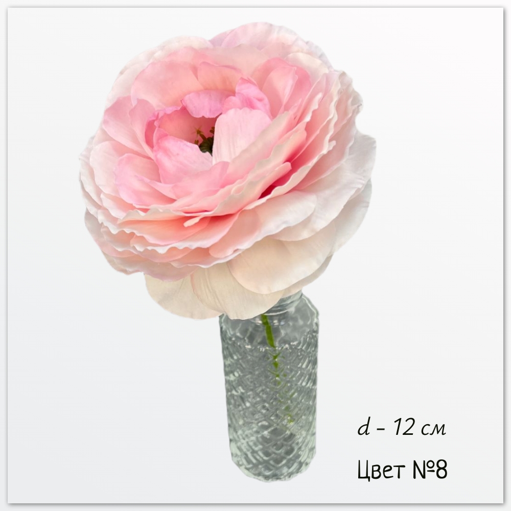 Камелия японская Нира, цвет №8