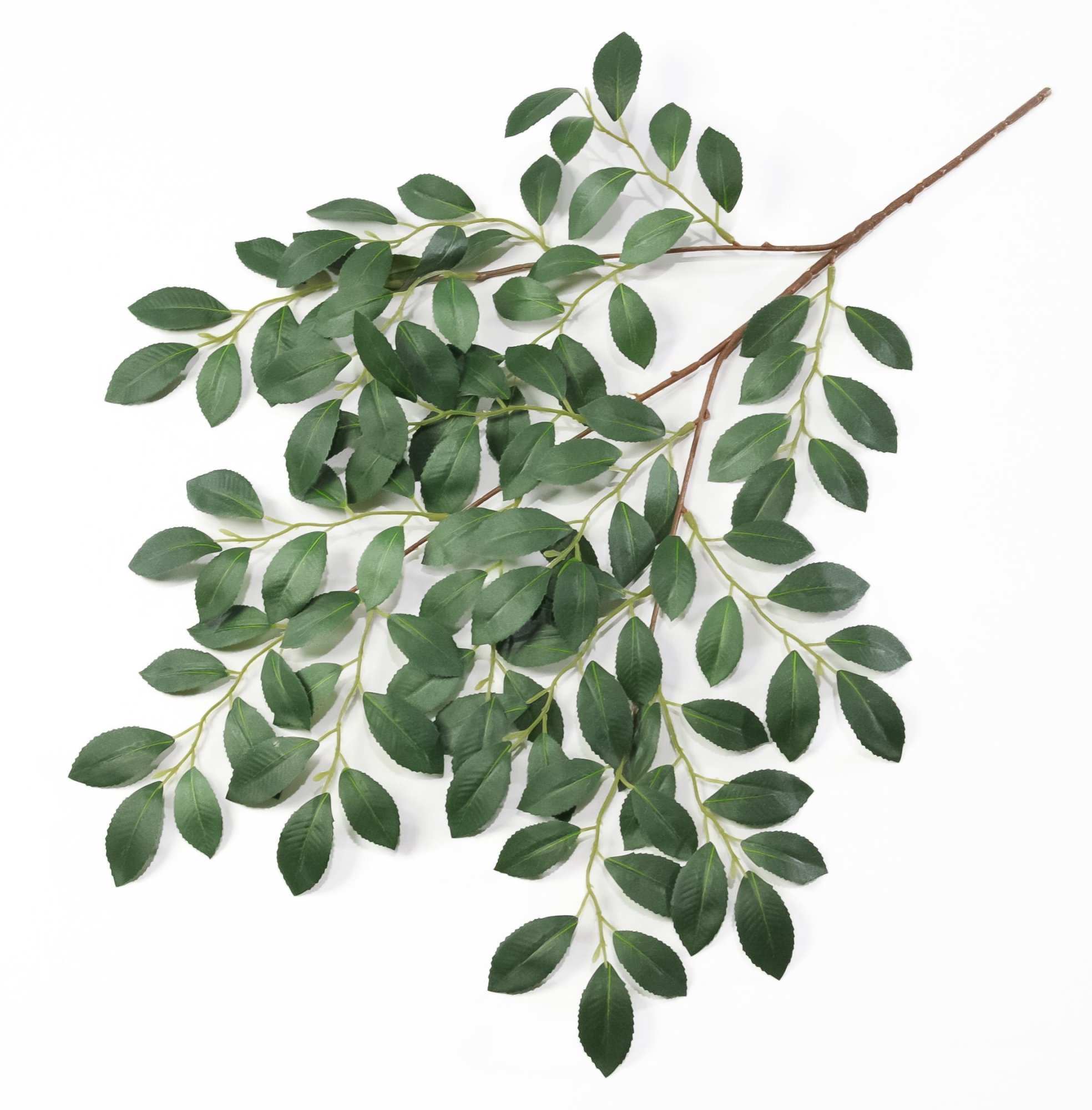 Зелень, декоративная мелкий лист (ответвление)